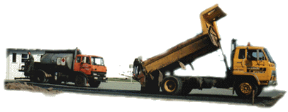 hardings4_1.GIF (22602 bytes)